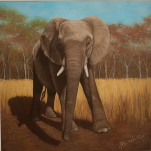 Carol Thomson  "Elephant II" $900